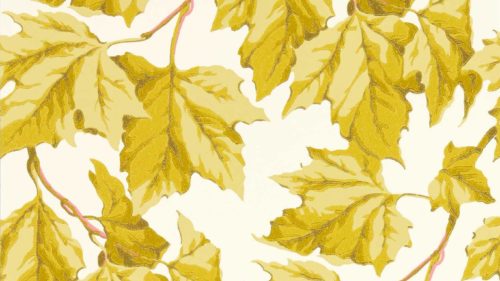 Dappled Leaf 113046